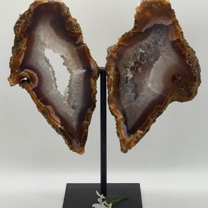 Agaat vlinder op standaard nr.1