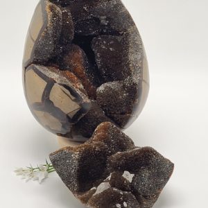 Septarie Ei XL met deksel nr.1