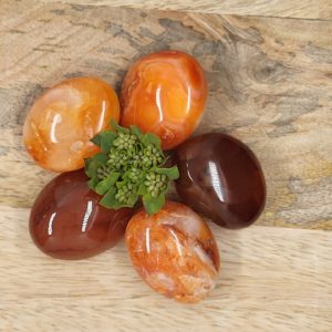 Carneool Trommelsteentjes maat M