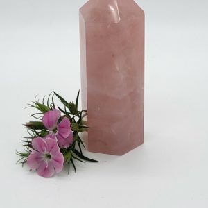 Rozenkwarts Punt nr.3
