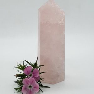 Rozenkwarts Punt nr.2