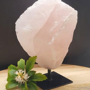 Rozenkwarts op standaard nr.1